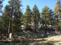 Mount San Jacinto